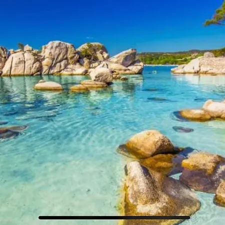 Apartment Calme Proche Des Commerces Et Plages Sarrola-Carcopino